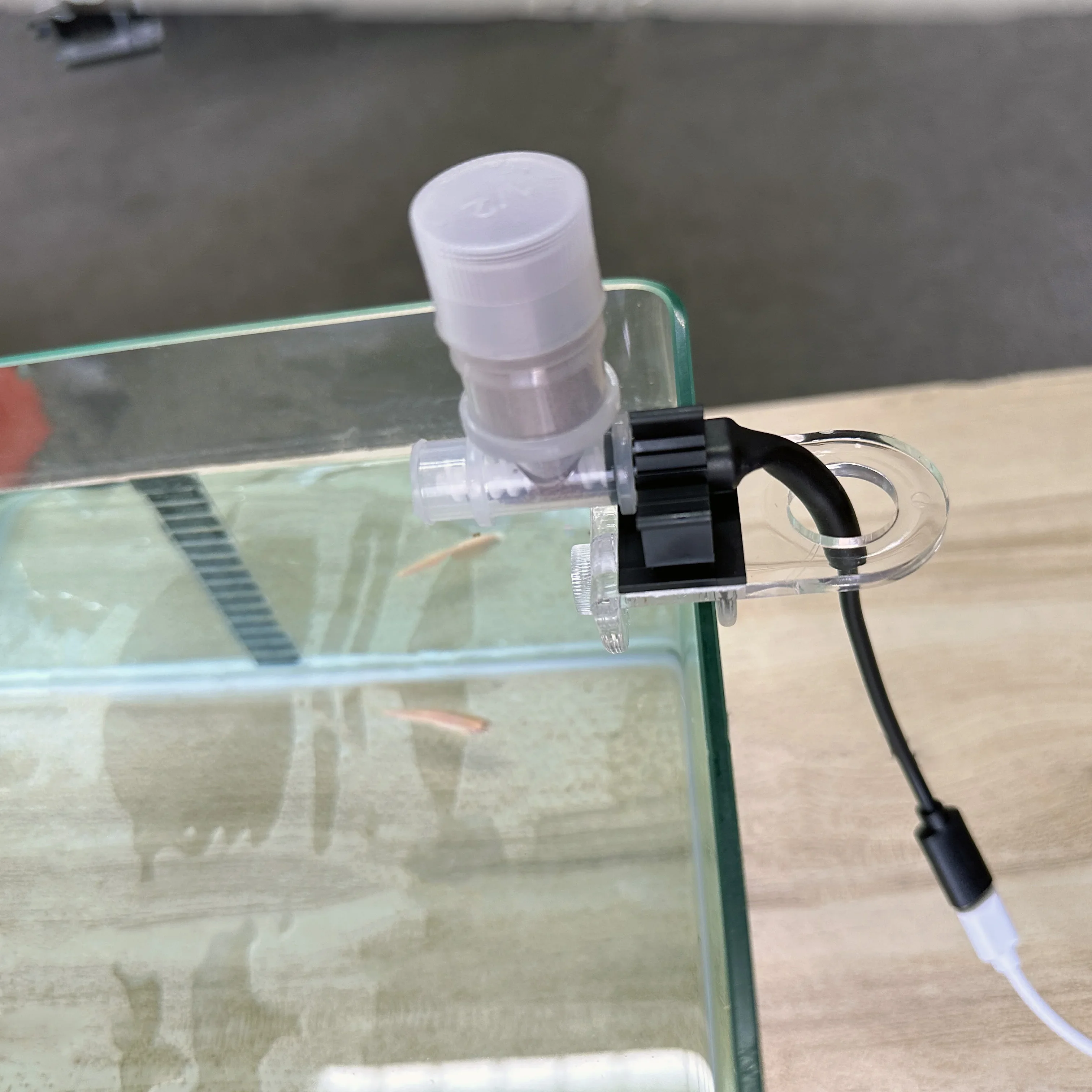 Best Automatic Fish Feeder - W - Fishing Line Dispenser avaliação e preço